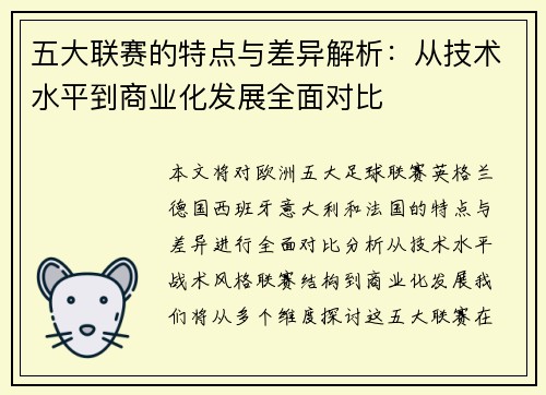 五大联赛的特点与差异解析：从技术水平到商业化发展全面对比