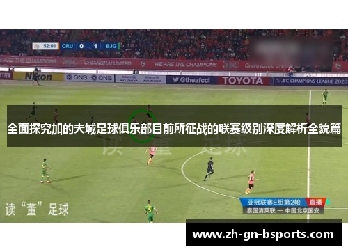 全面探究加的夫城足球俱乐部目前所征战的联赛级别深度解析全貌篇