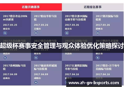 超级杯赛事安全管理与观众体验优化策略探讨